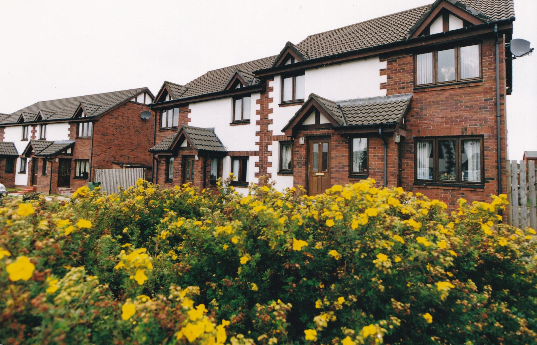 Macedonian Grove Flats with yellow/green shrubbery in front